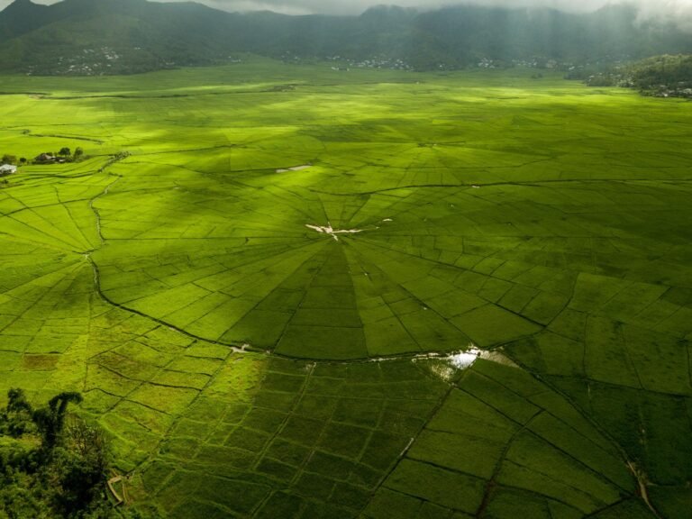 Sawah Lingko Cancar